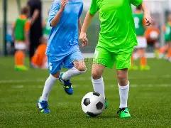 冬趣,李文风摄影,作品,爱体育平台,爱体育官方网站,爱体育登录入口,爱体育app下载