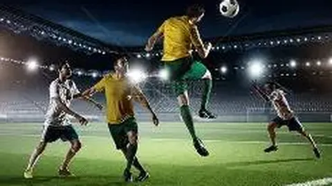 娱乐圈奋斗记：15部主角脚踏实地逐梦星途的小说推荐